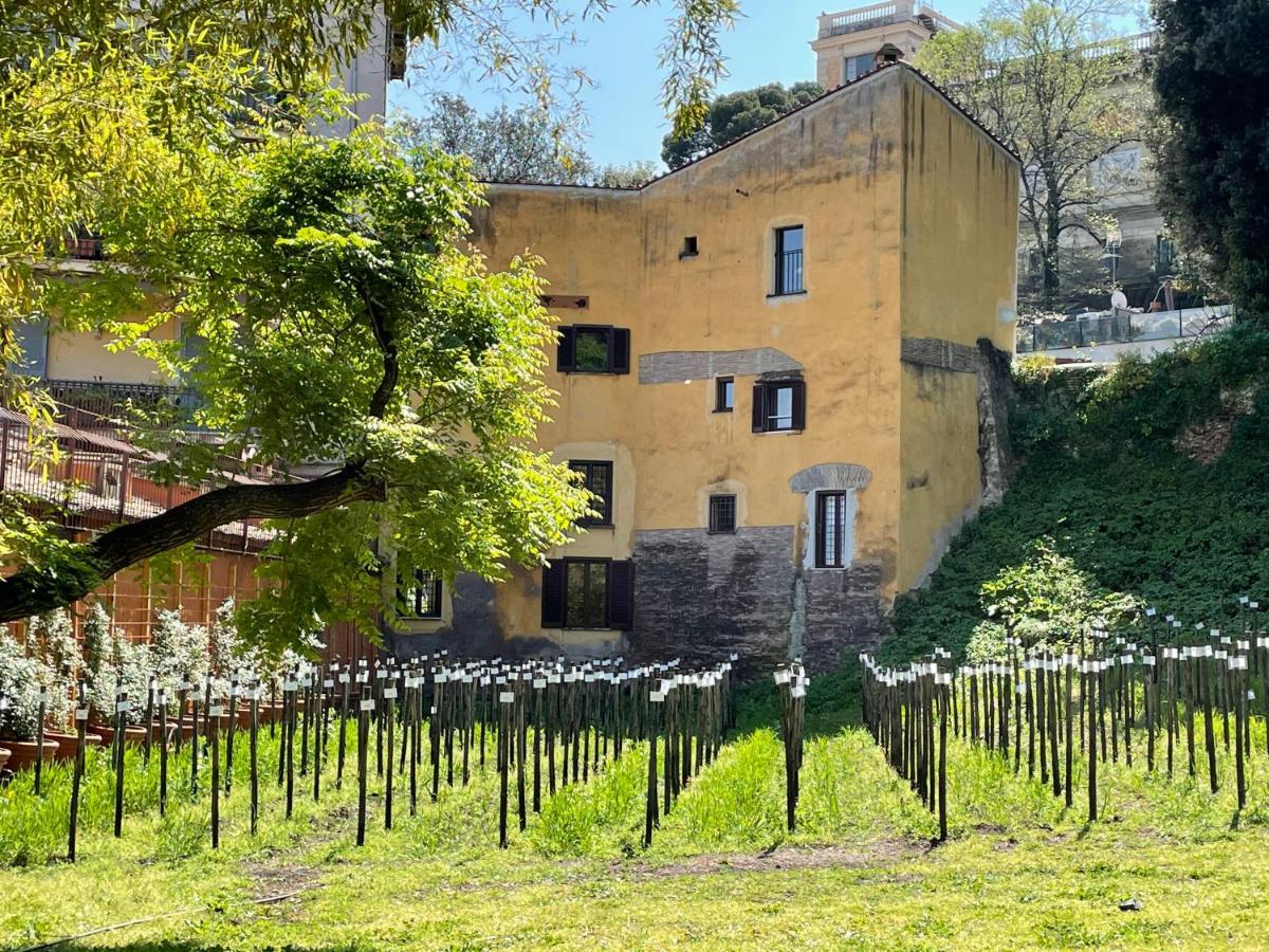 Il Mulino Di Trastevere - My Extra Home Roma Ngoại thất bức ảnh